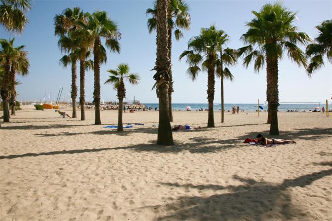 Sun And Beach Lovers 12019 拉皮内达 外观 照片